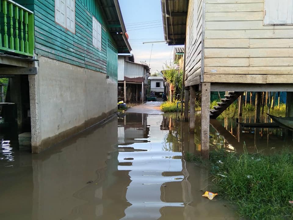 IMAGE-2