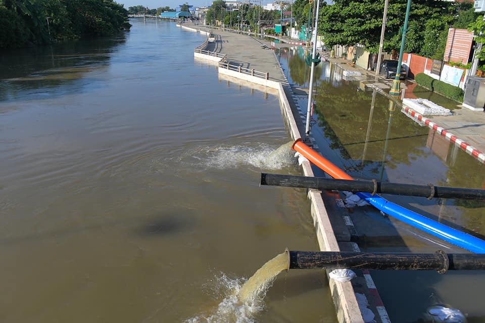 IMAGE-2