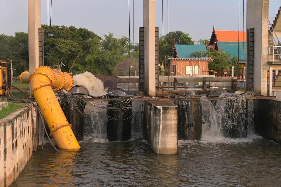 IMAGE-2