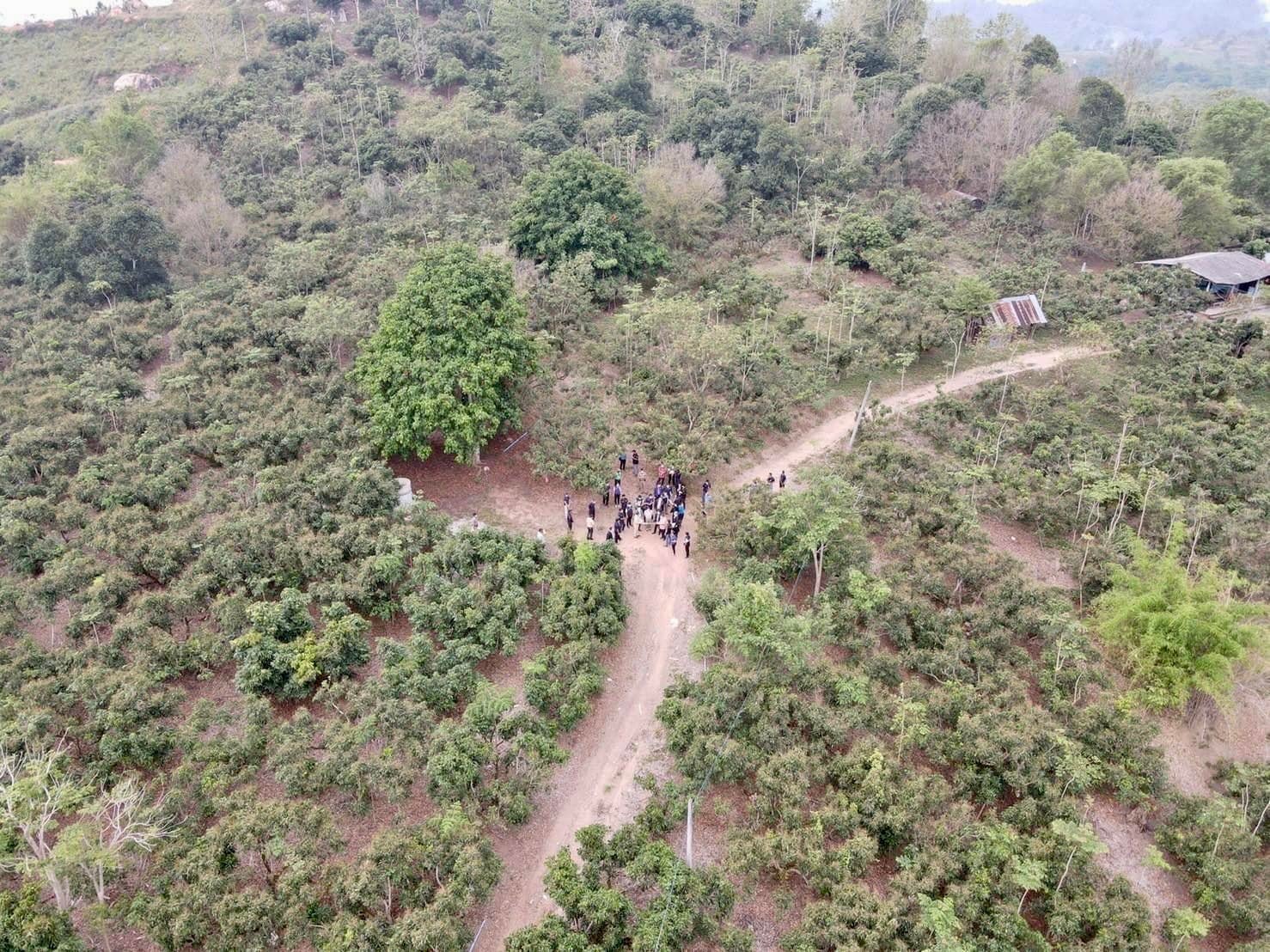 IMAGE-2
