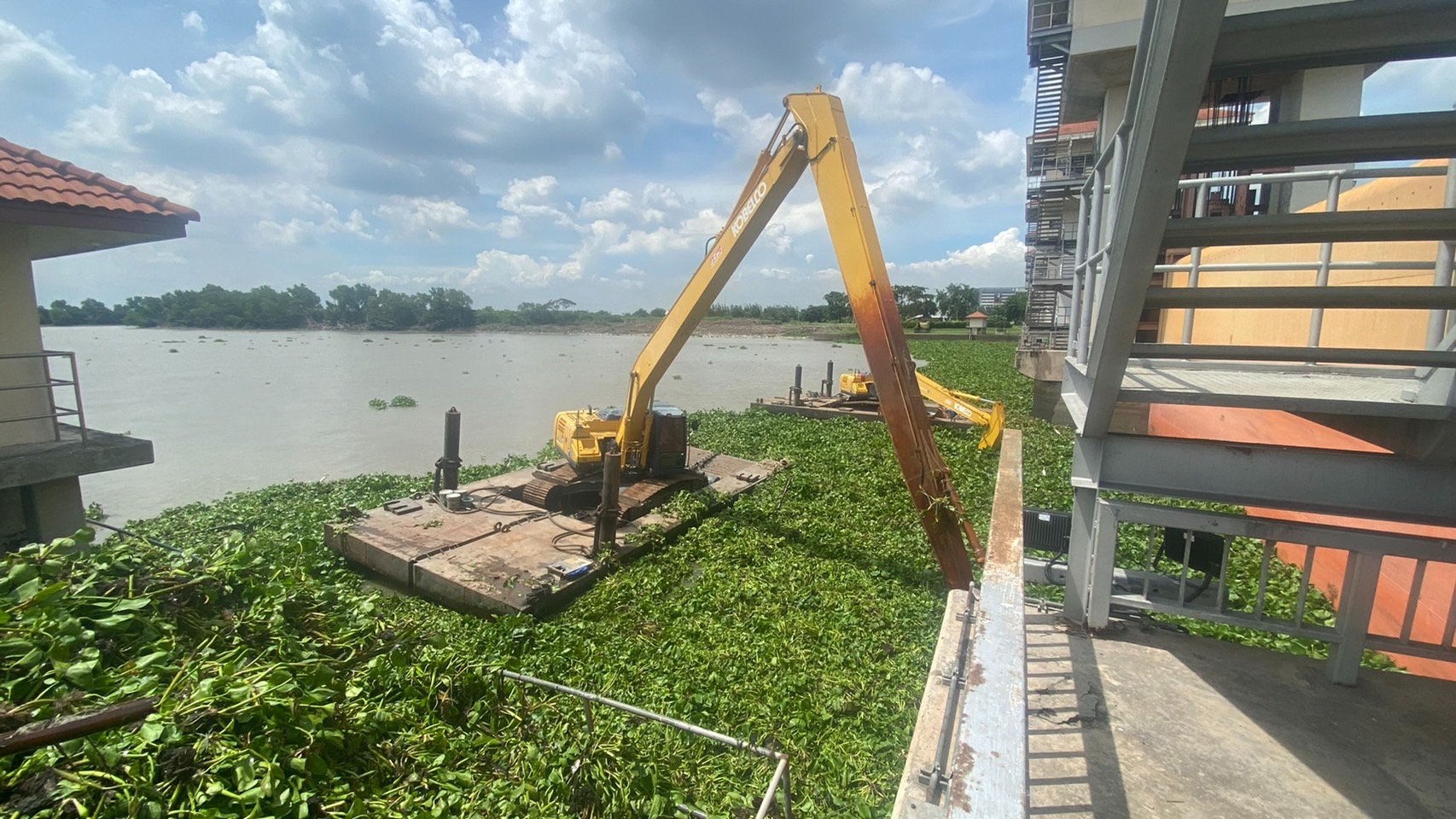 IMAGE-2