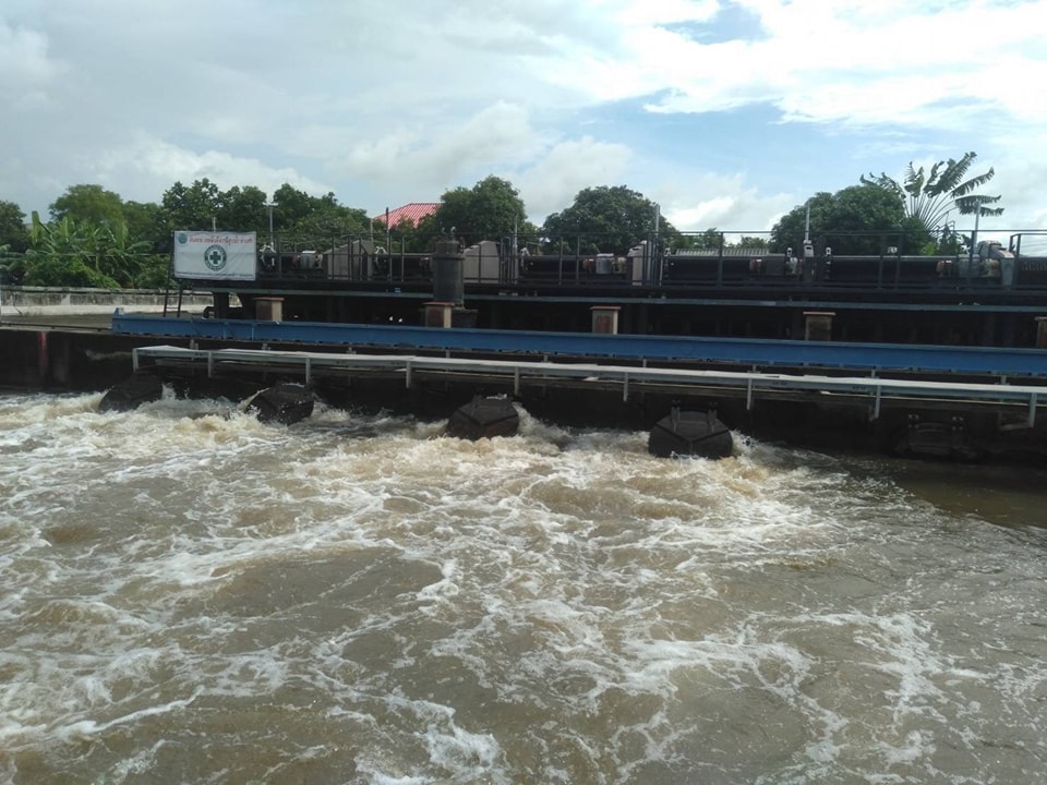 IMAGE-2