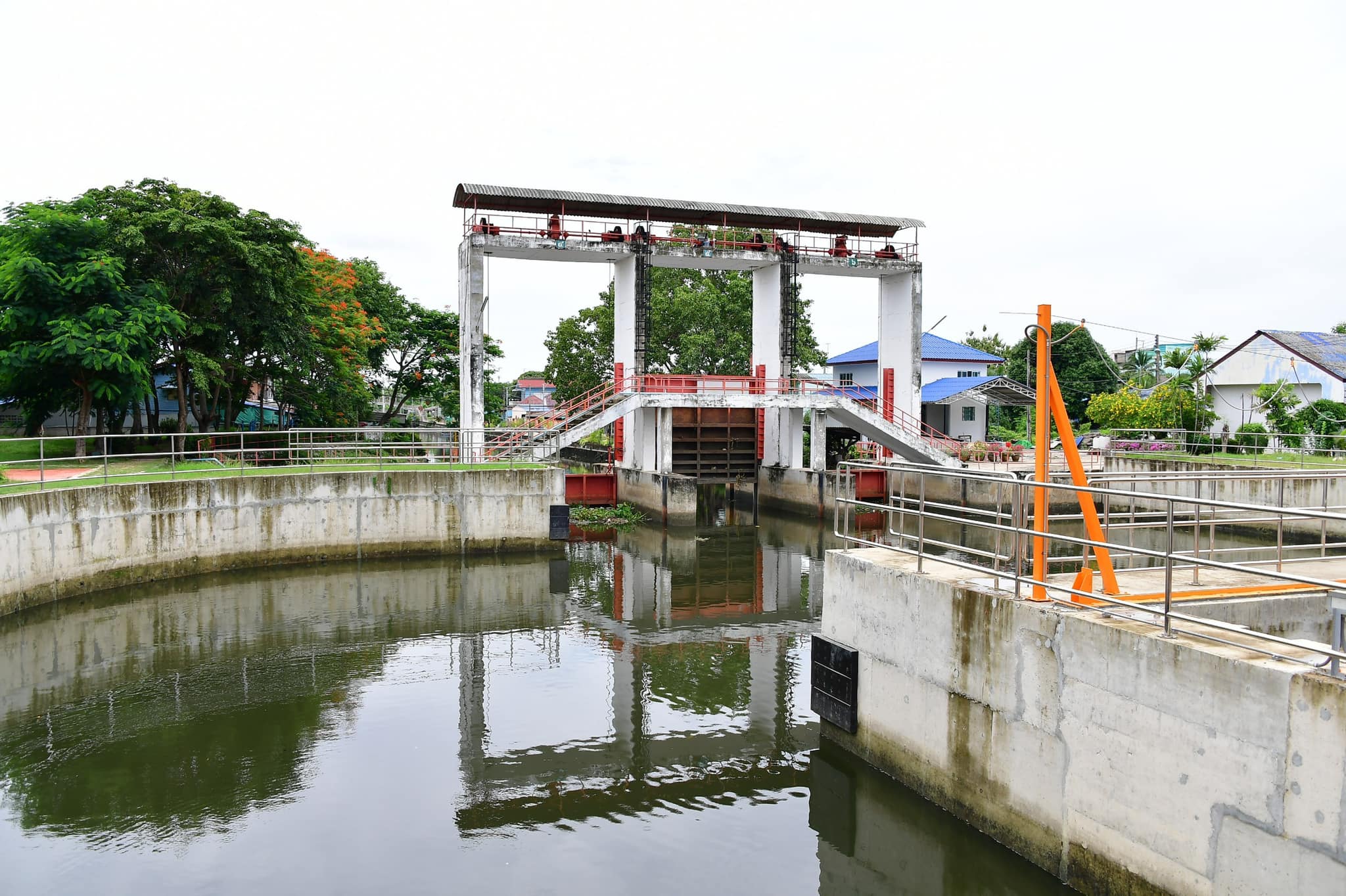 IMAGE-2
