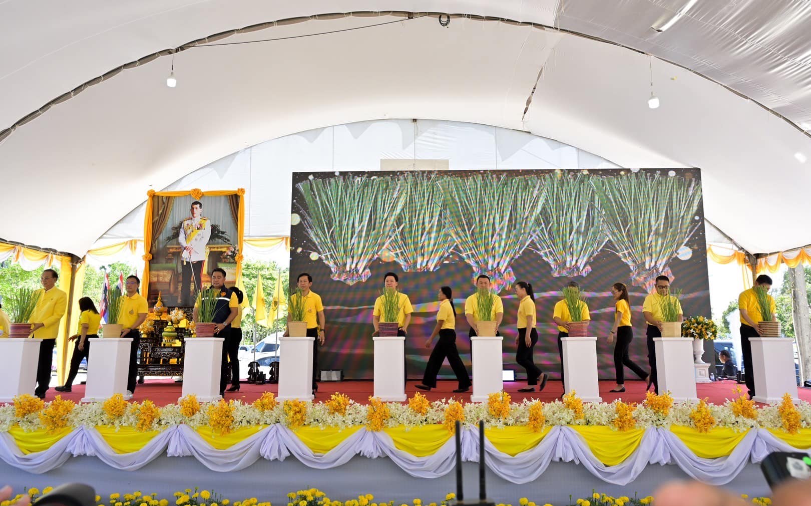 454784717 900465902128015 1760949130298850280 n