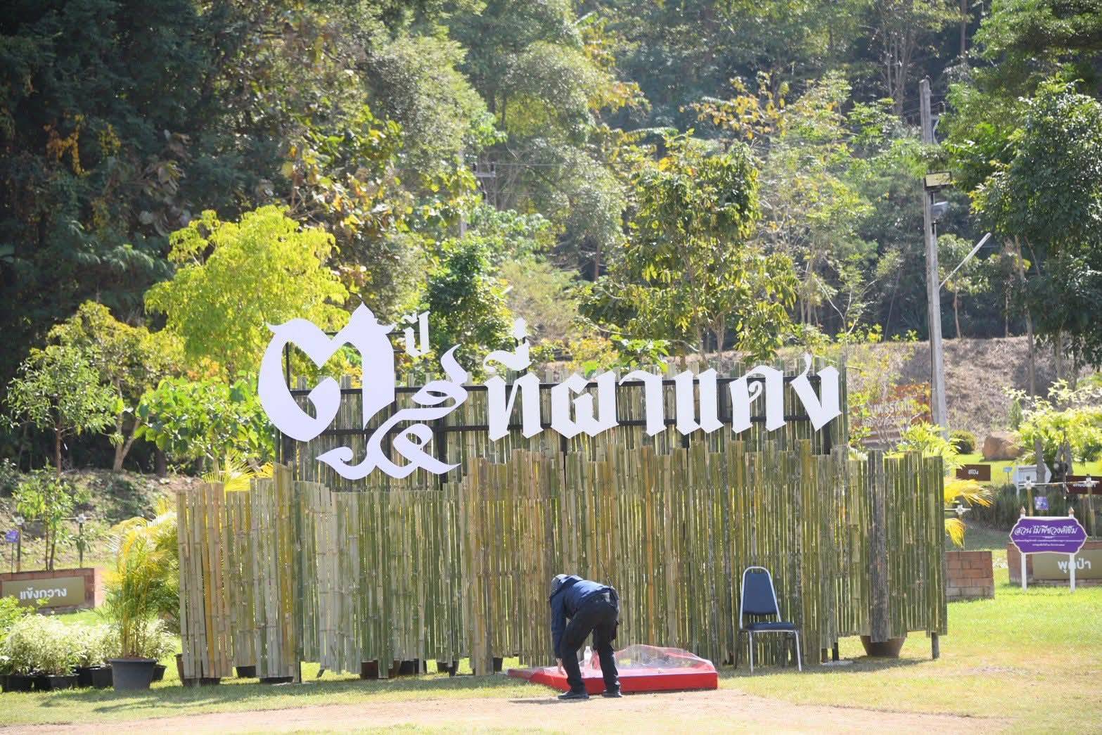 600362875 1318298220343248 7889241488252203567 n