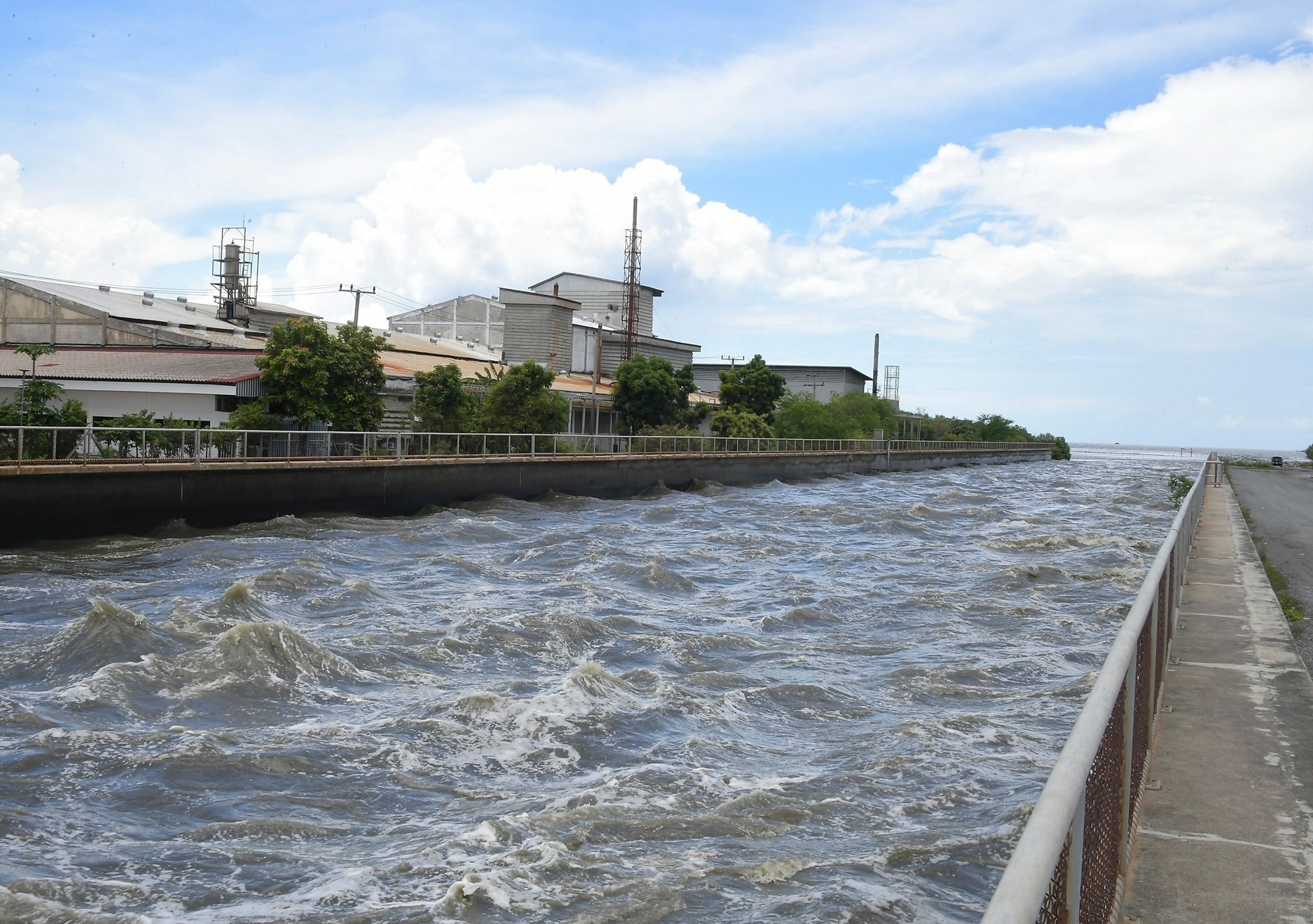 IMAGE-2