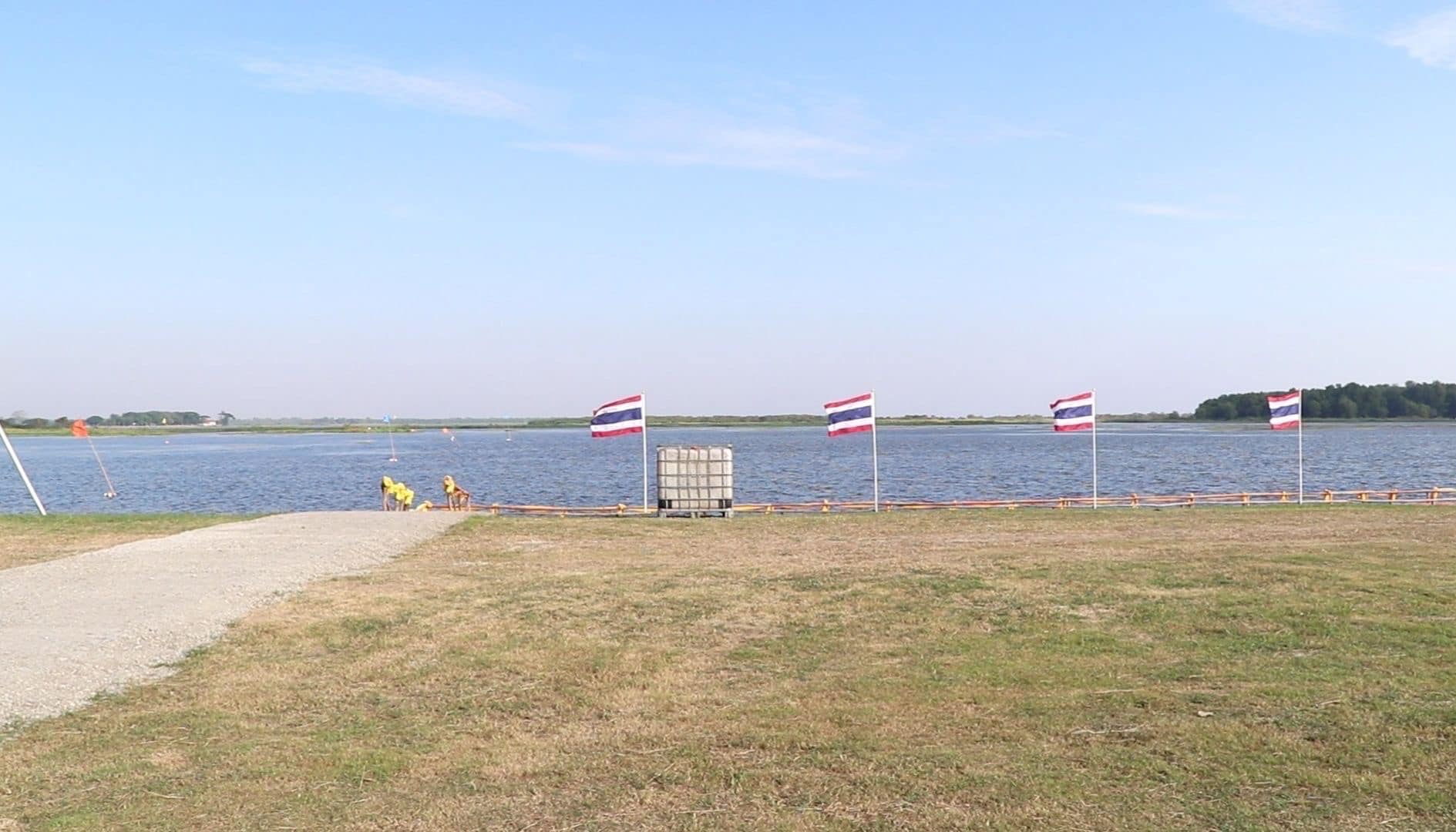 IMAGE-2