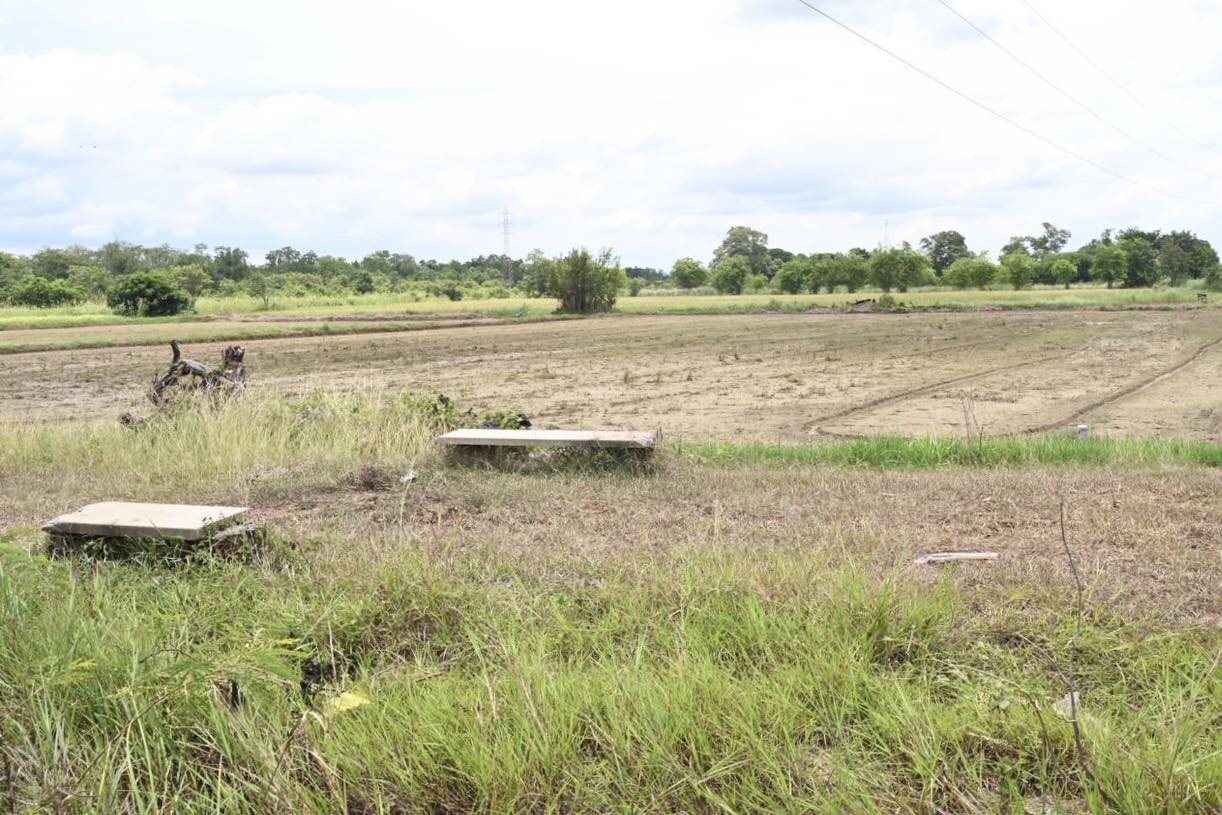 539191784 1178574160983853 6842271367918478121 n