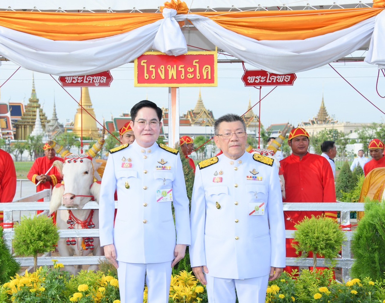 ผลเสี่ยงทายพระราชพิธีพืชมงคลจรดพระนังคัลแรกนาขวัญ ประจำปี 2568  ผ้าห้าคืบ พระโคกิน น้ำ หญ้า เหล้า