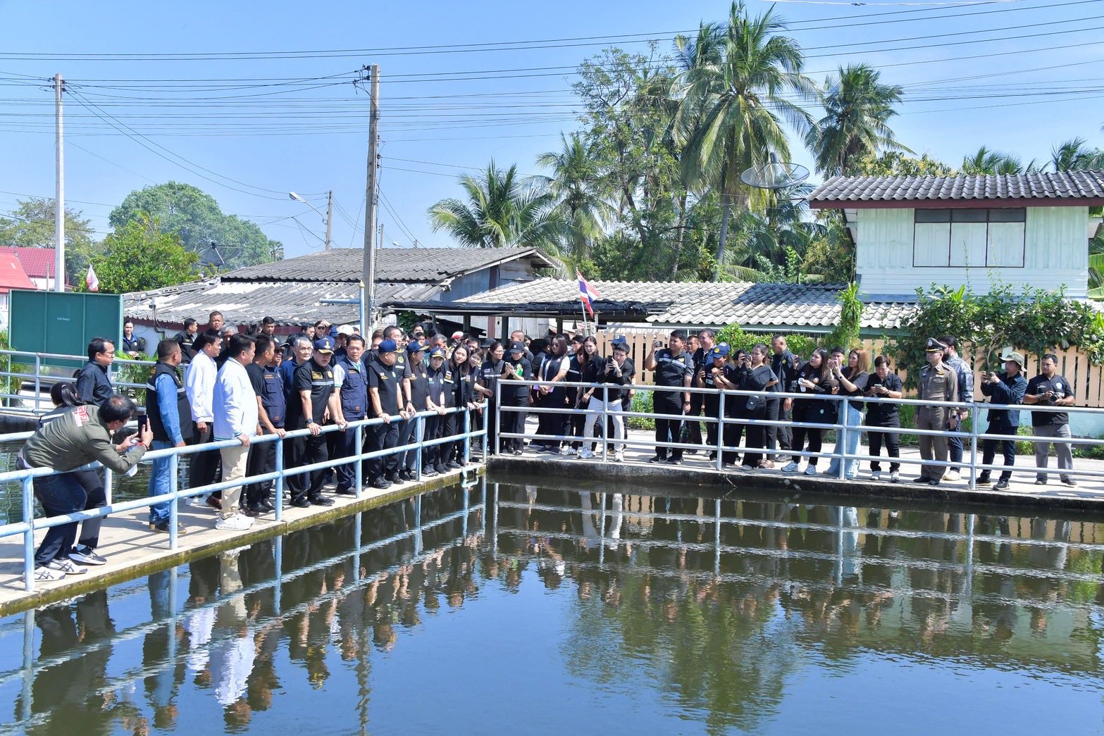 583935767 1248780247296577 8096202252412825175 n