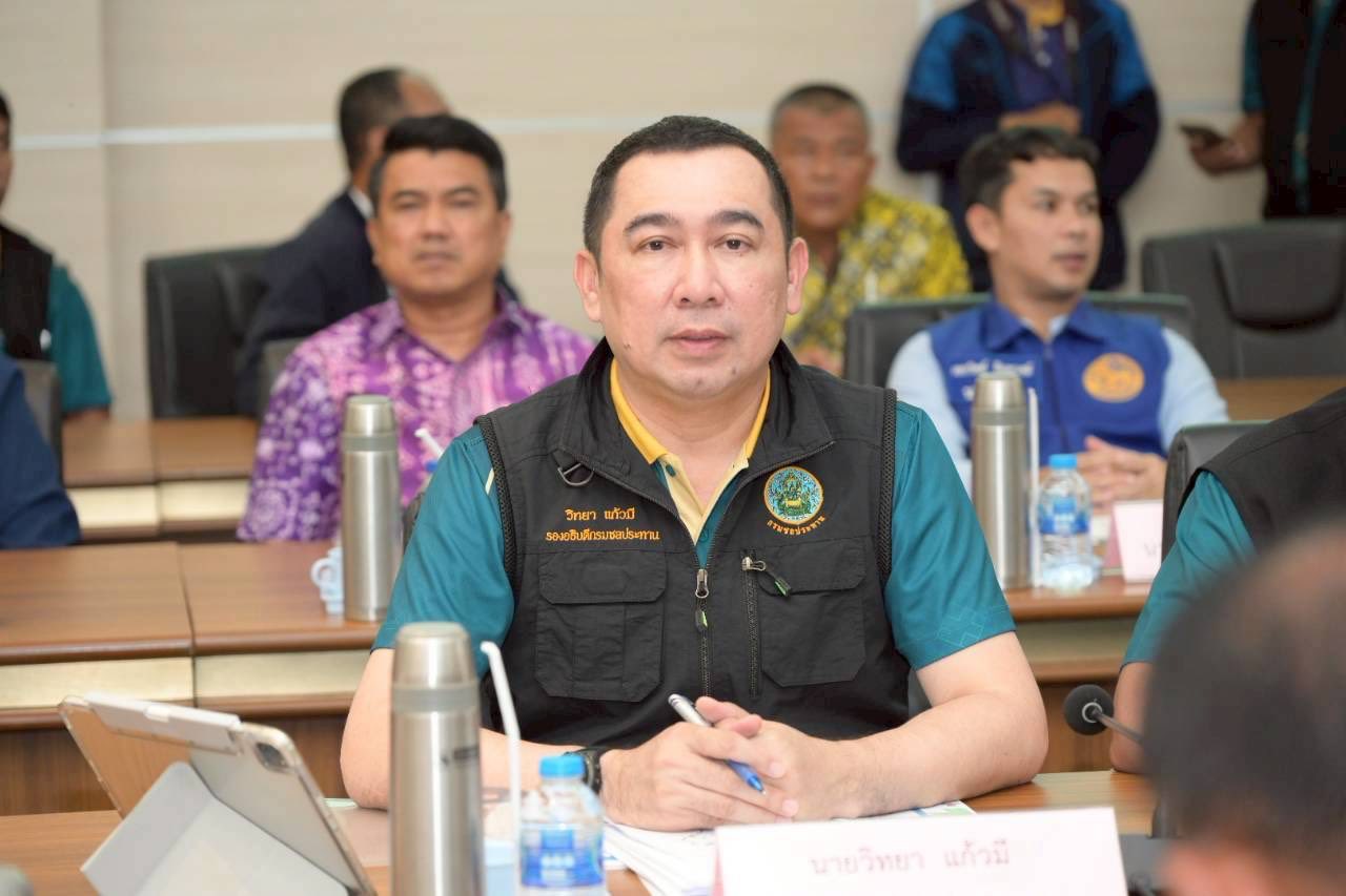 557449186 1211562677685001 8705300274432855054 n