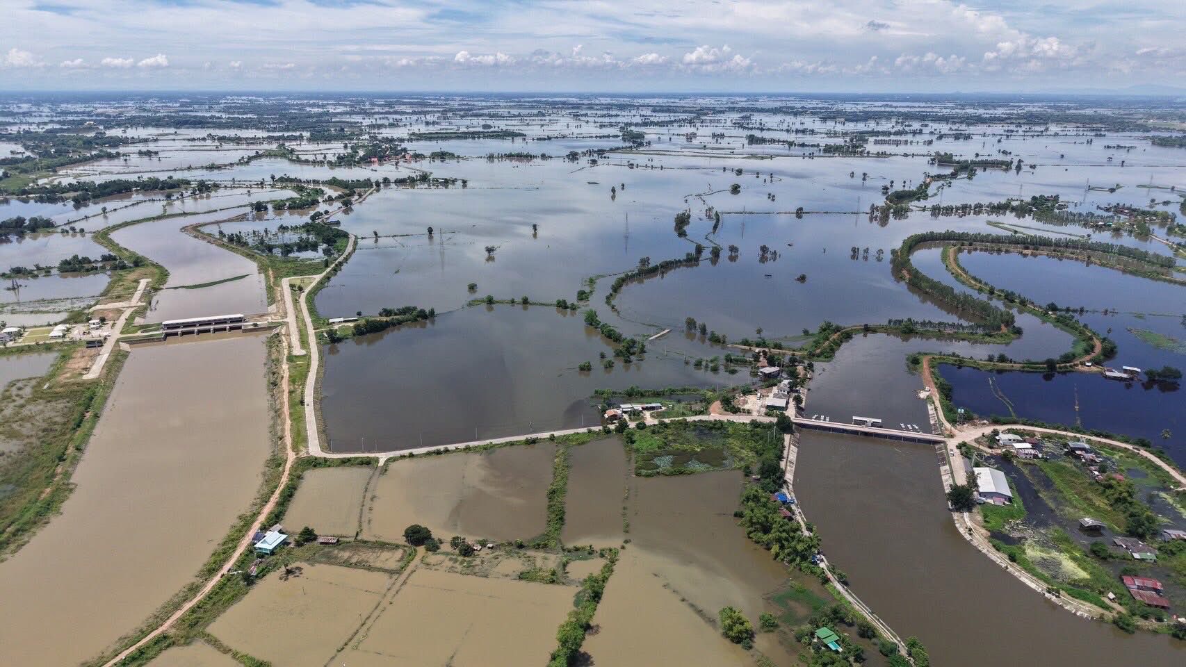 ทุ่งบางระกำ เก็บน้ำเกือบเต็ม หน่วงน้ำบรรเทาผลกระทบลุ่มเจ้าพระยาตอนล่าง 