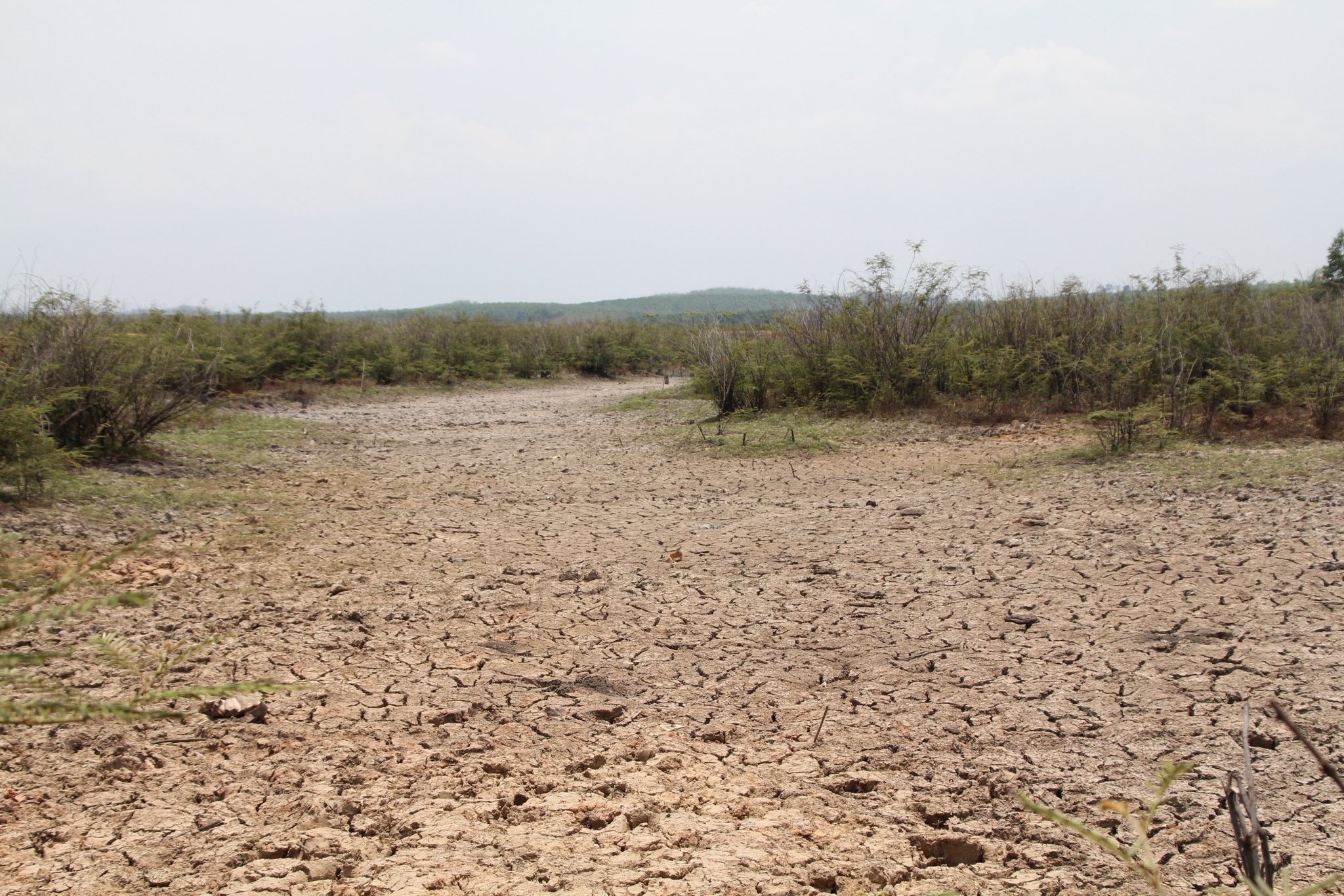 549293534 1198637242310878 8149130333994004677 n