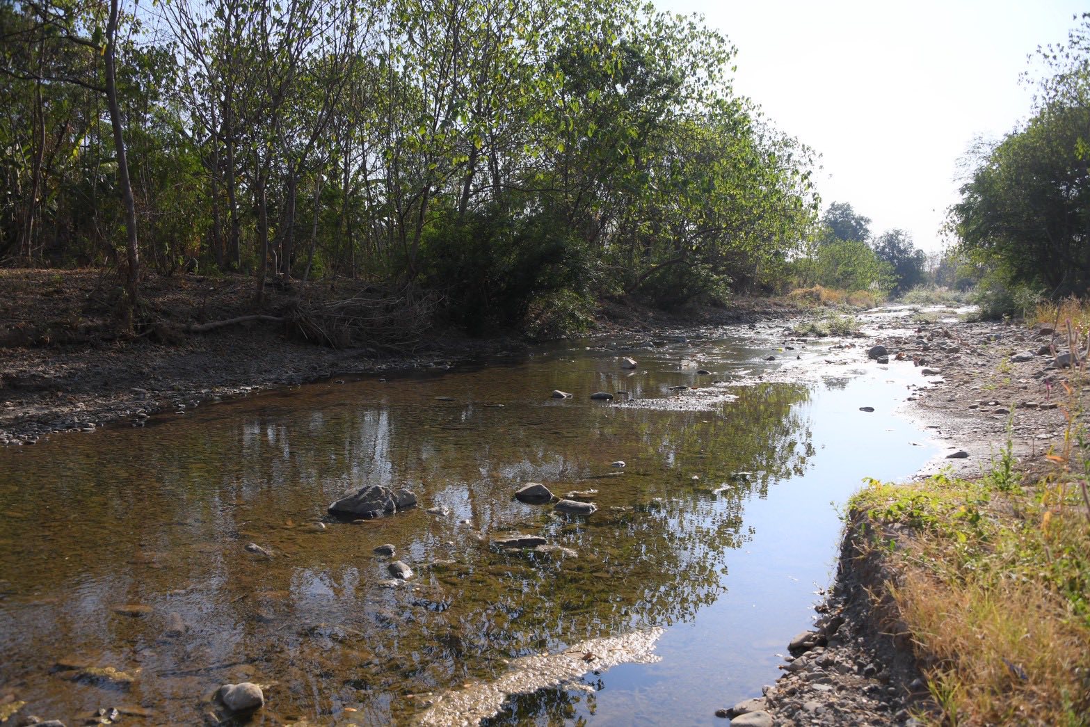 625263918 1305597704948164 1901134108317620899 n