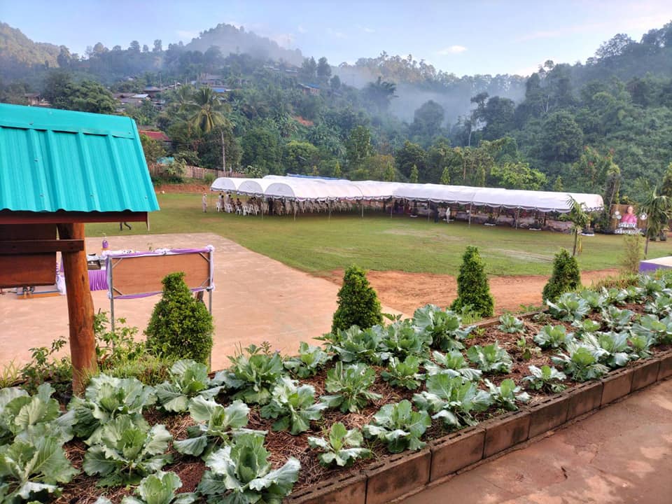 IMAGE-2
