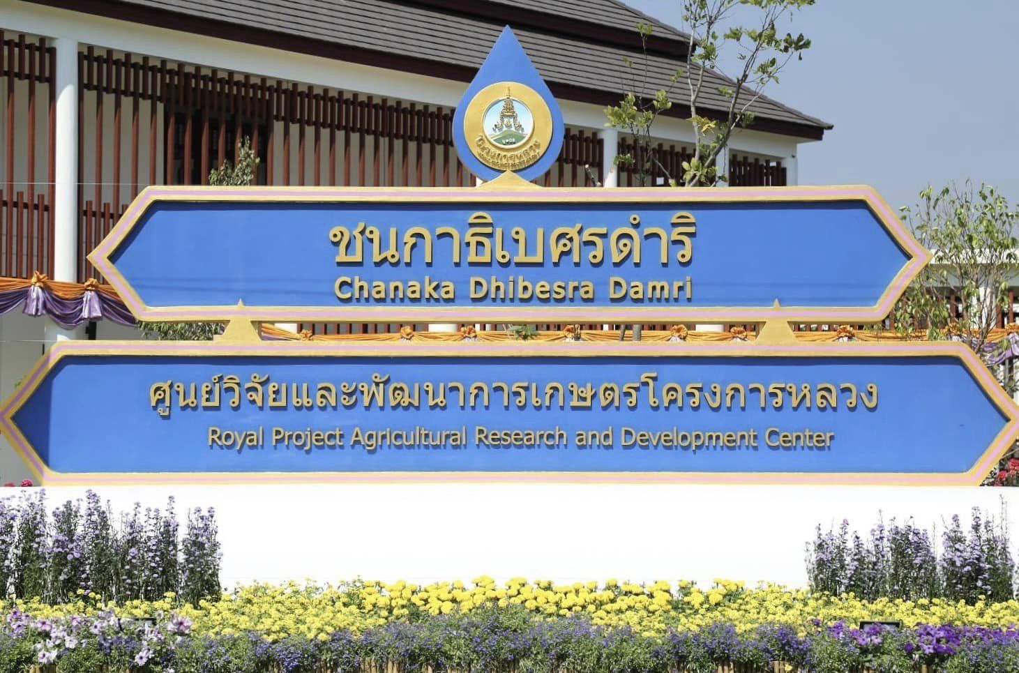 IMAGE-2