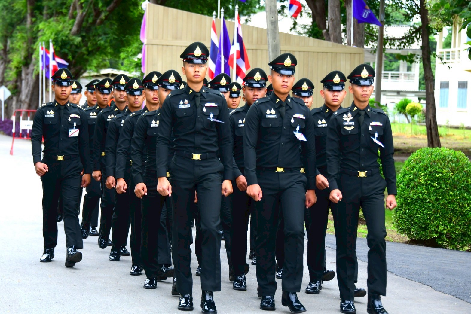 550214748 1200416222132980 7475323994067022684 n