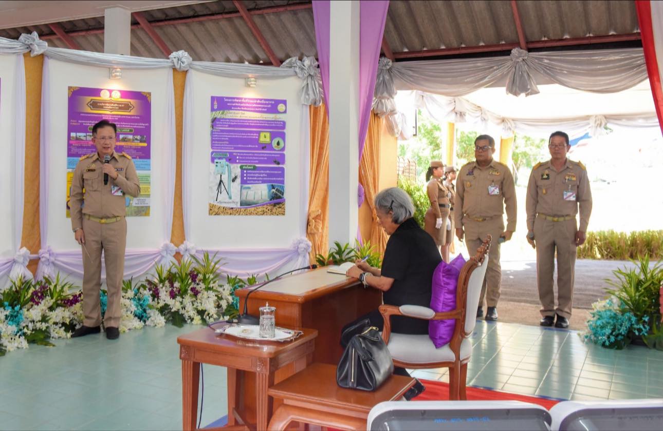 581966542 1248140340693901 9184389162558270340 n