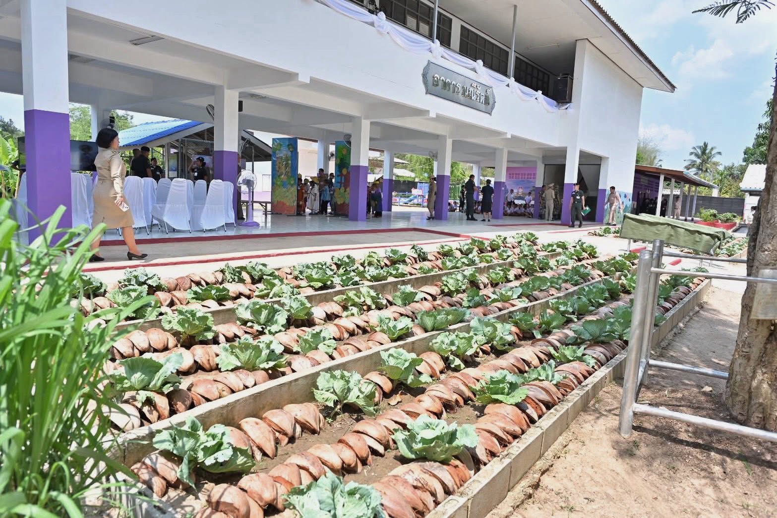 674873890 1370404548467479 3866614428188467081 n